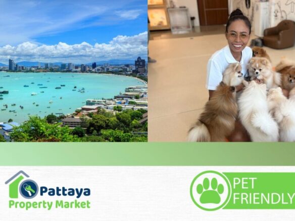 pet friendly condos pattaya