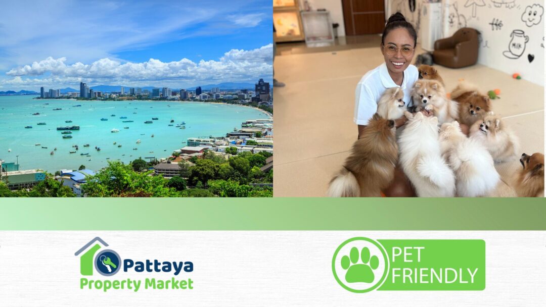 pet friendly condos pattaya