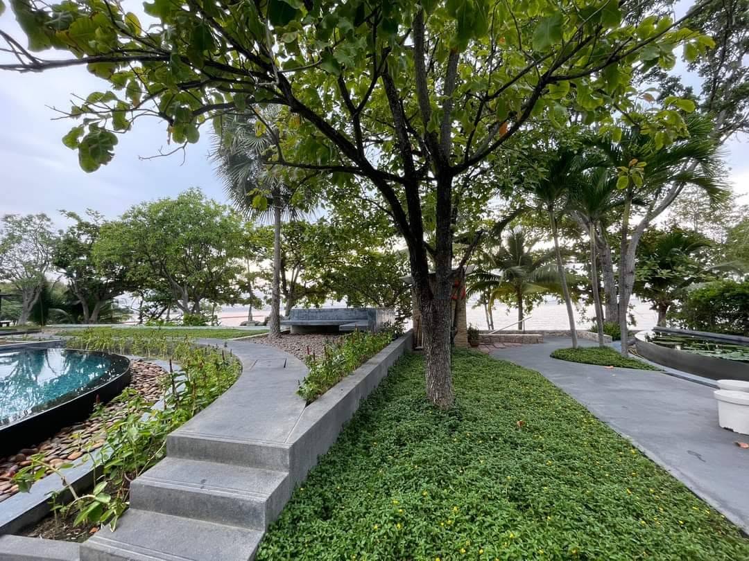 741980036_1013181804666174_6683264532486360533_n Luxury 2-Bedroom Duplex Beachfront Condo at The Sanctuary Wong Amat
